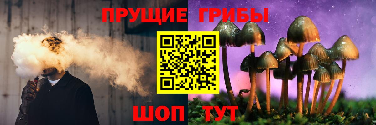 Галлюциногенные грибы Psilocybine cubensis Сосновый Бор